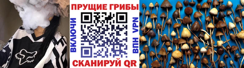 Псилоцибиновые грибы Magic Shrooms  Купить где  Новая Усмань 